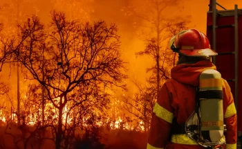 Firefighter extinguishing  wildfire with fire truck