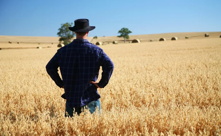 Man in the paddock