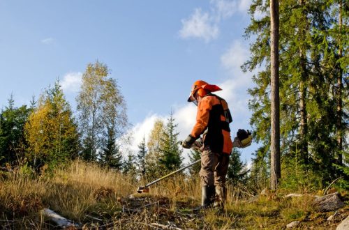 iStock-492040232 copy
