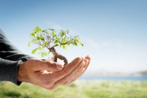 iStock_000004633733XSmall